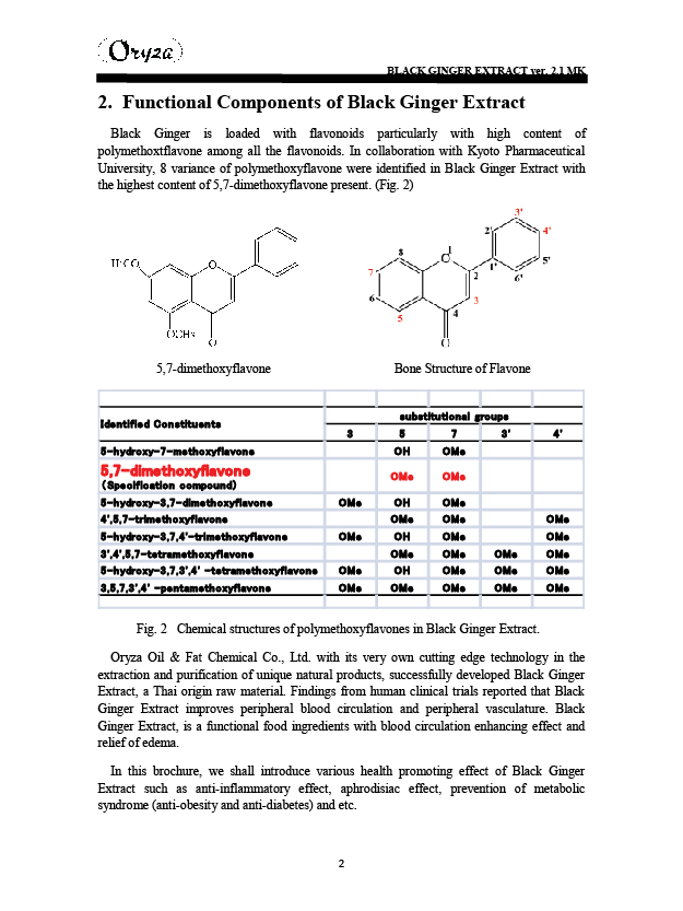 250620 WEBSITE BLACK GINGER-21